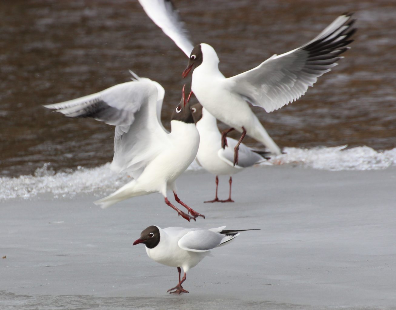 Valokuvaaja: Irja Lehtinen