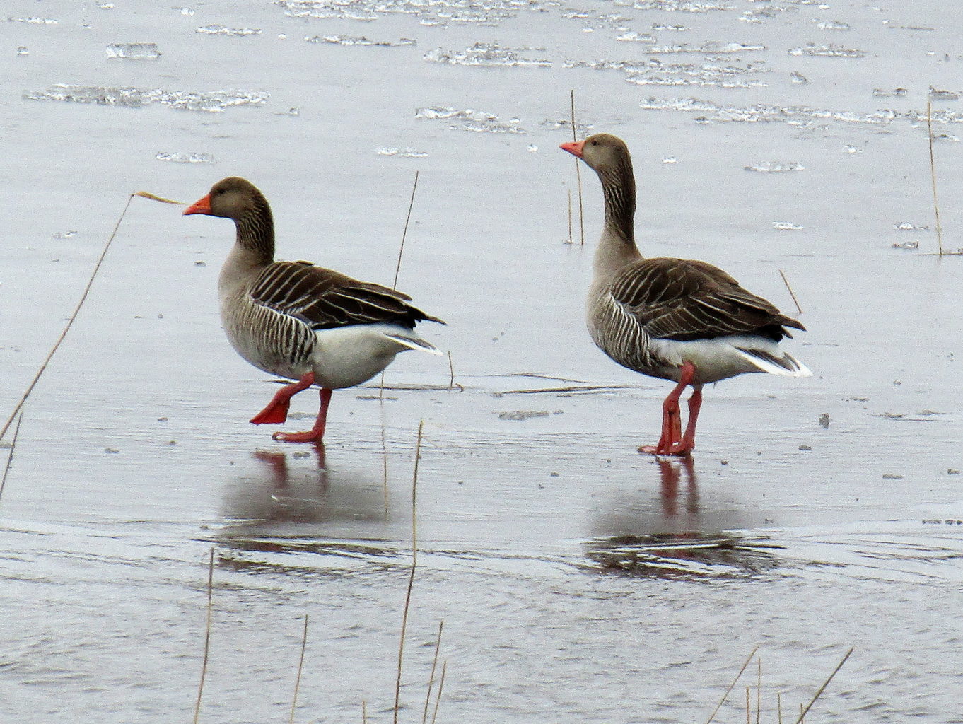 Valokuvaaja: Sirkka Ruotoistenmäki