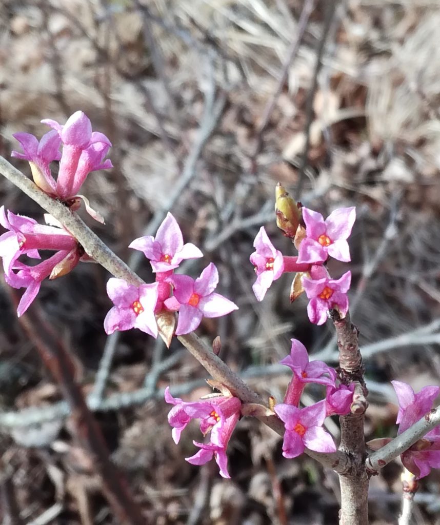 Valokuvaaja: Riitta Marjamäki