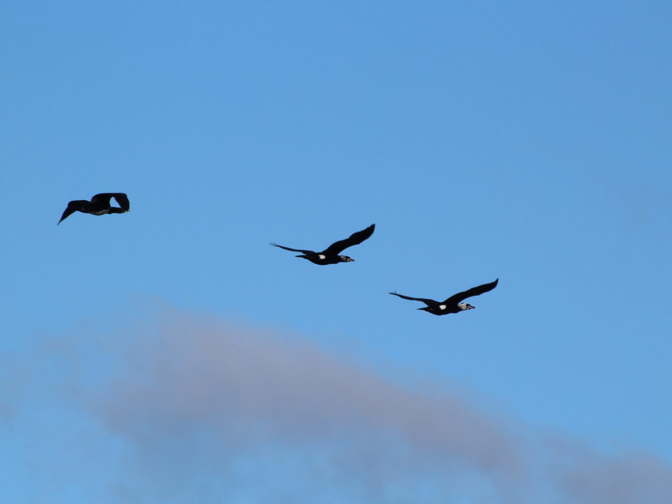 Valokuvaaja: Ville Forss