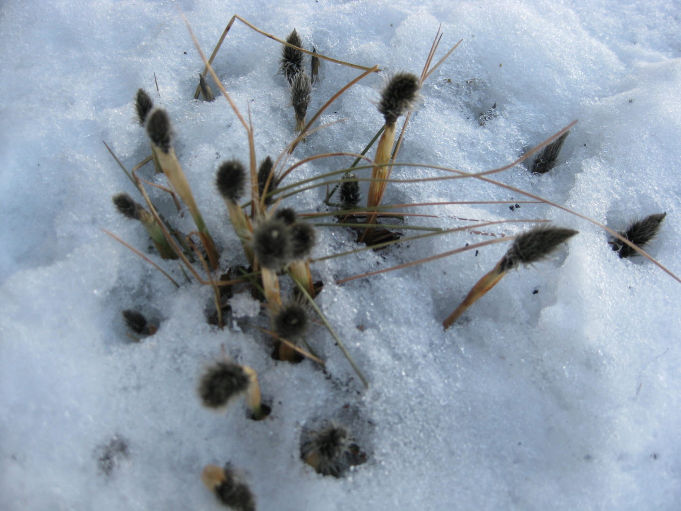 Valokuvaaja: yrjo lukkari