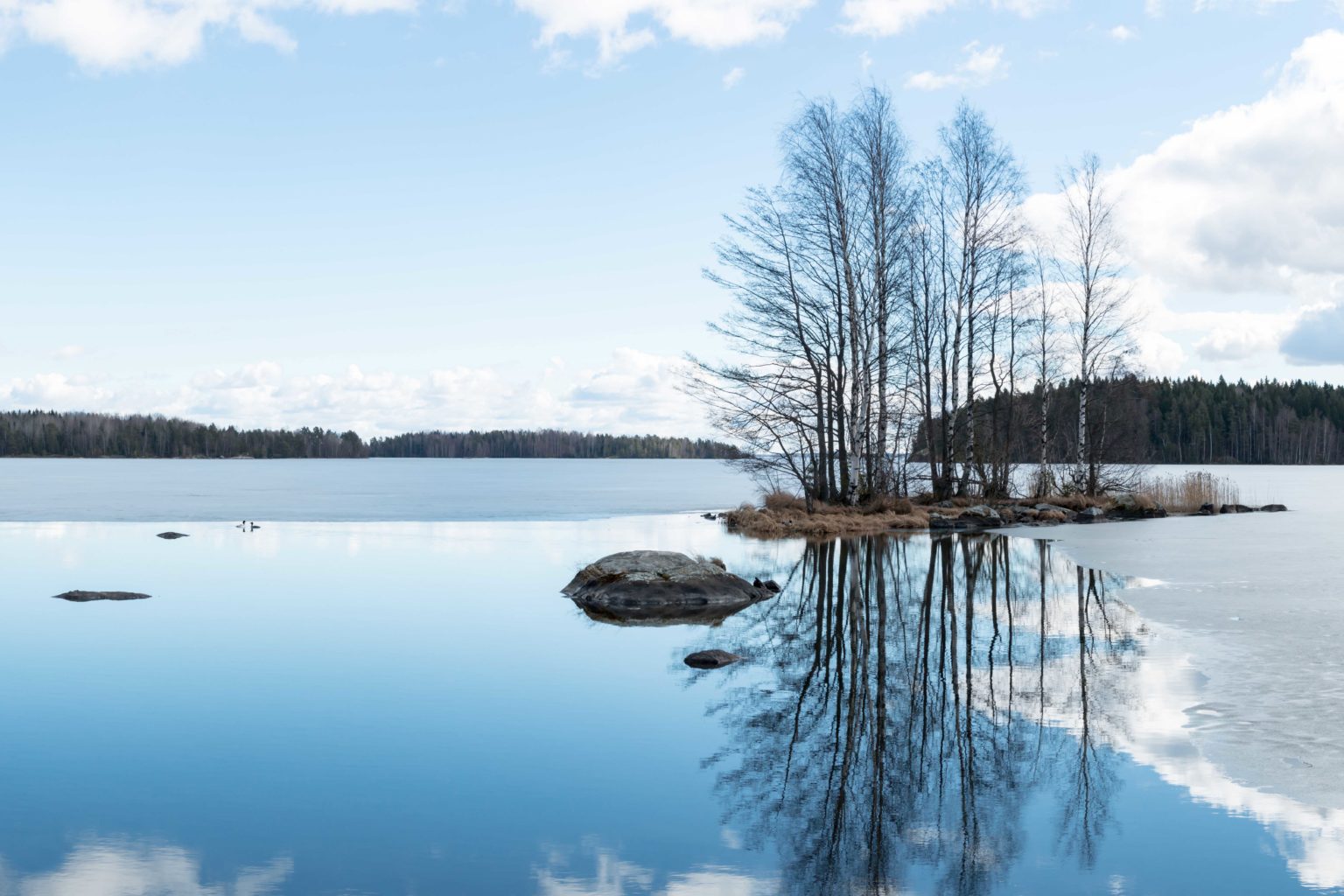 Valokuvaaja: Ari Tapaninen