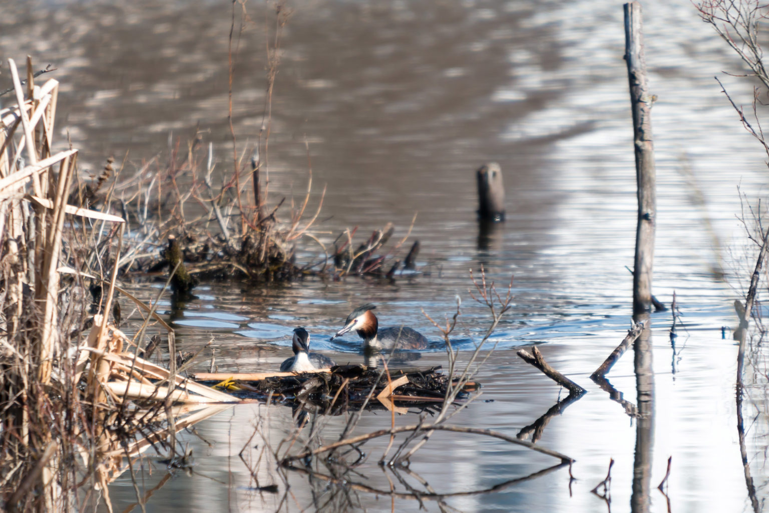 Valokuvaaja: Ari Tapaninen
