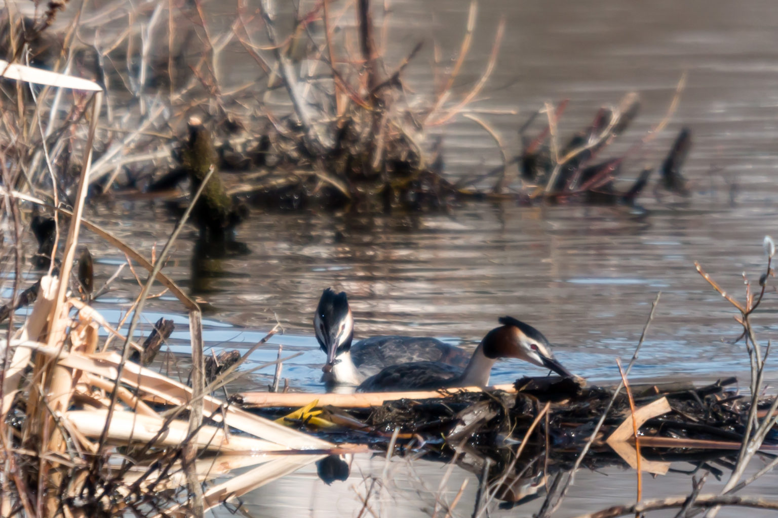 Valokuvaaja: Ari Tapaninen