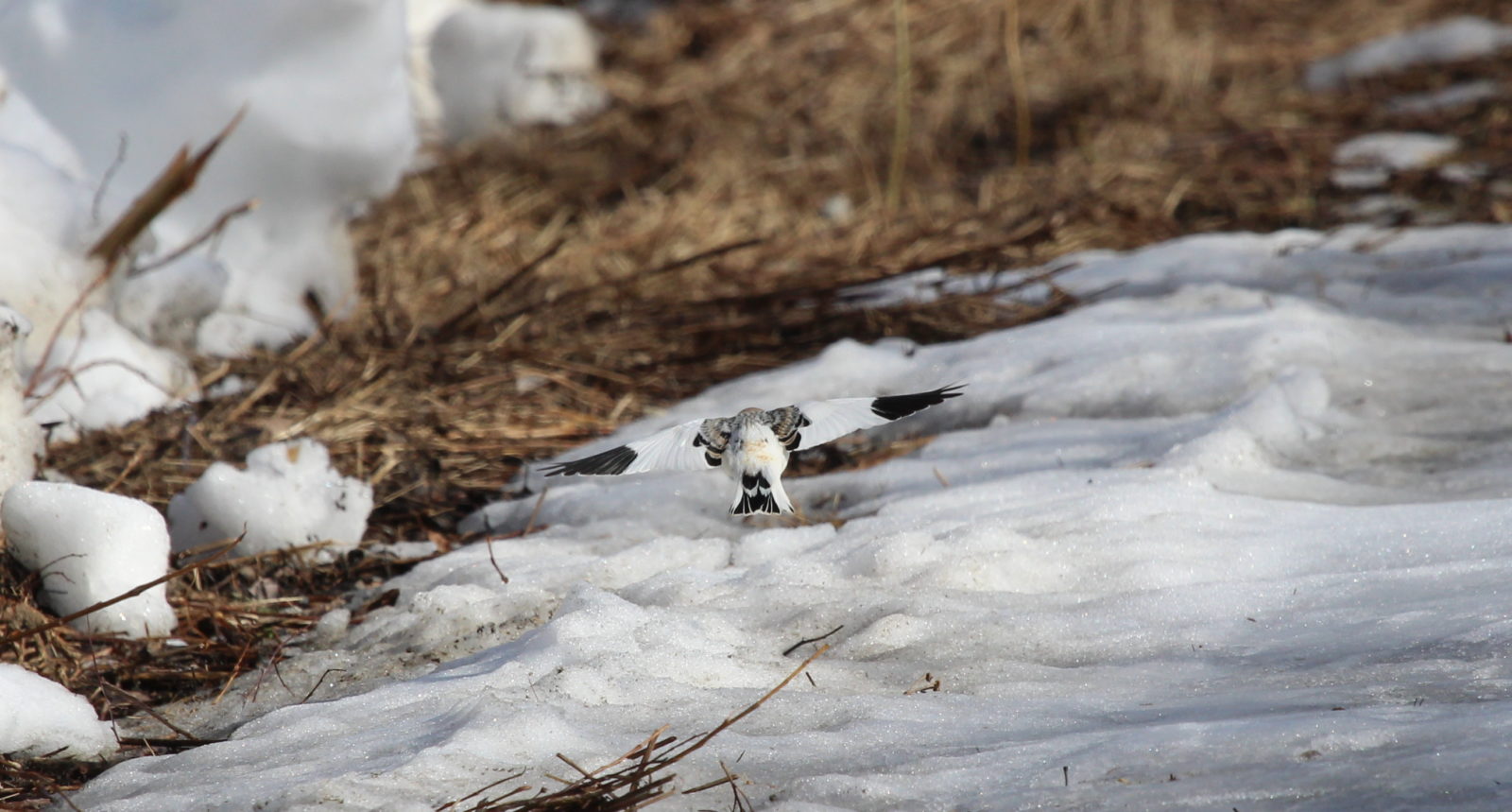 Valokuvaaja: Raija Kokkola