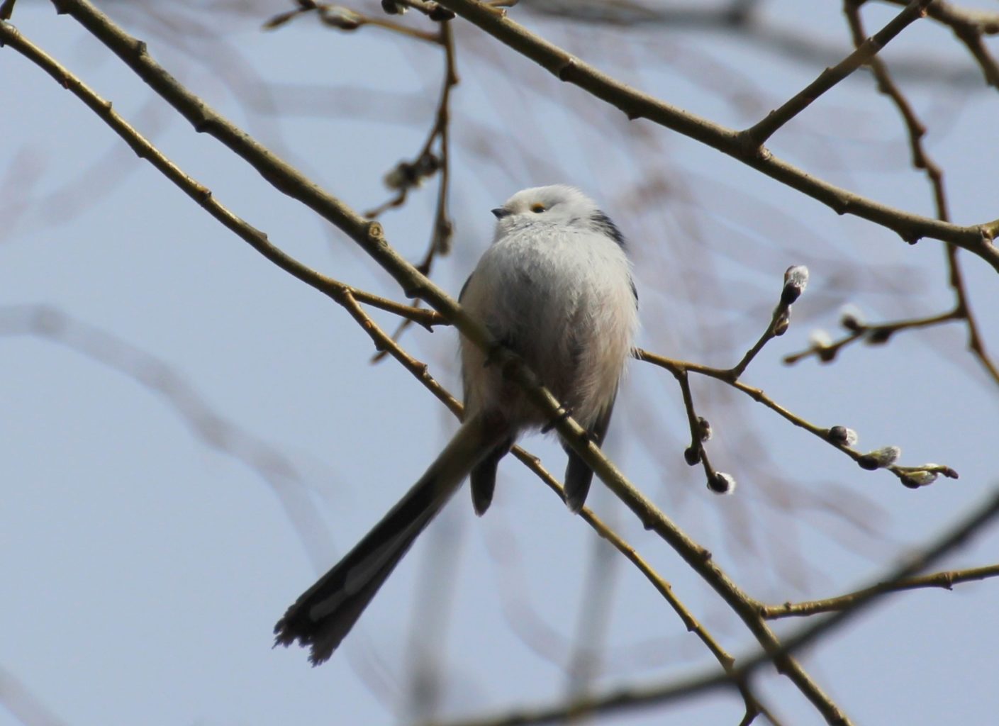Valokuvaaja: Irja lehtinen