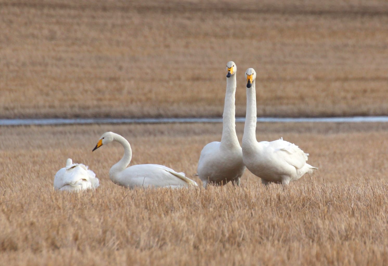 Valokuvaaja: Irja Lehtinen