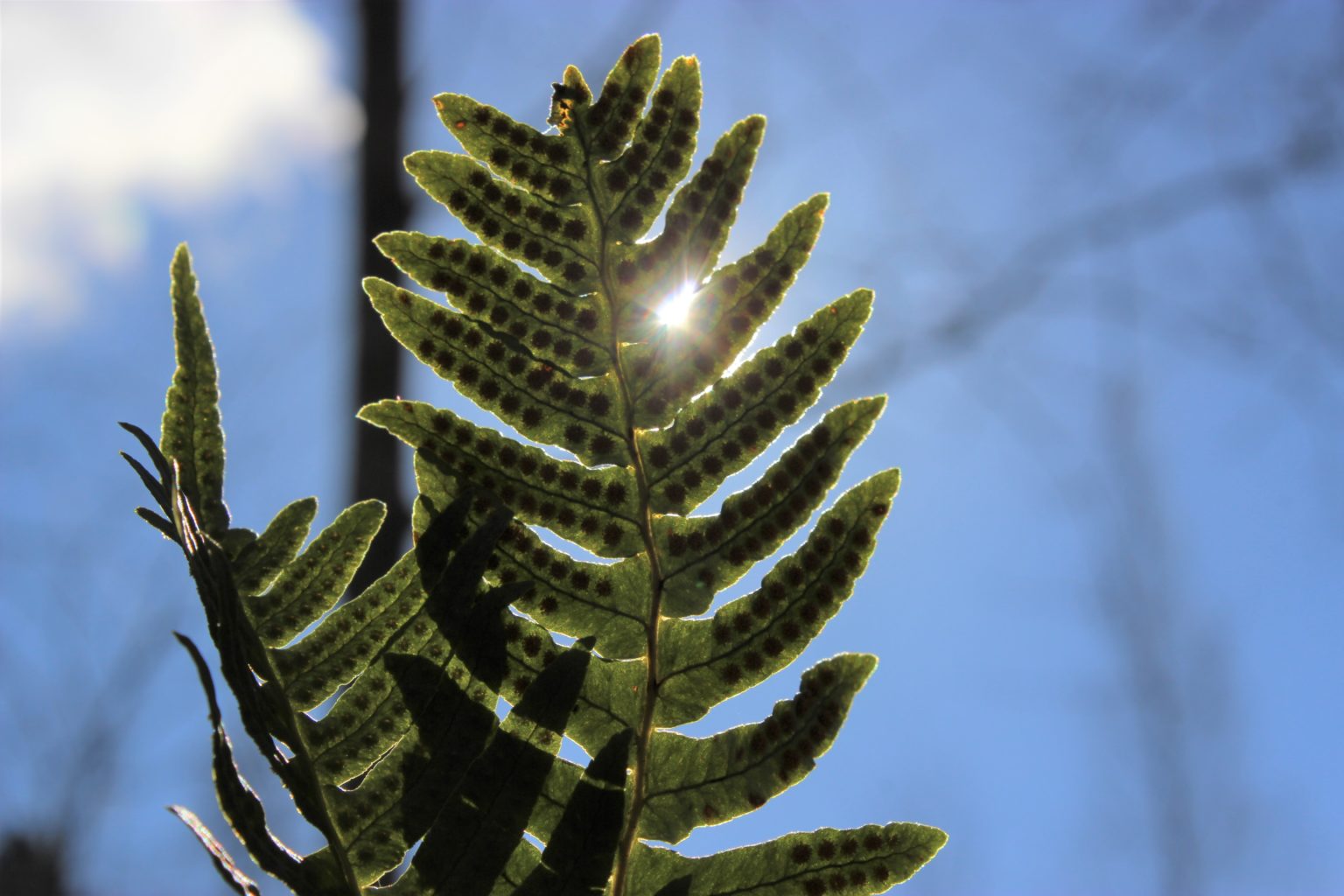 Valokuvaaja: Irja Lehtinen