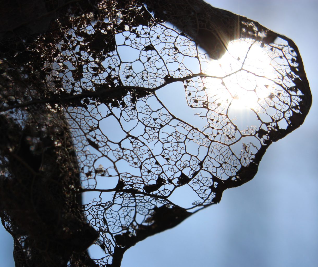 Valokuvaaja: Irja lehtinen