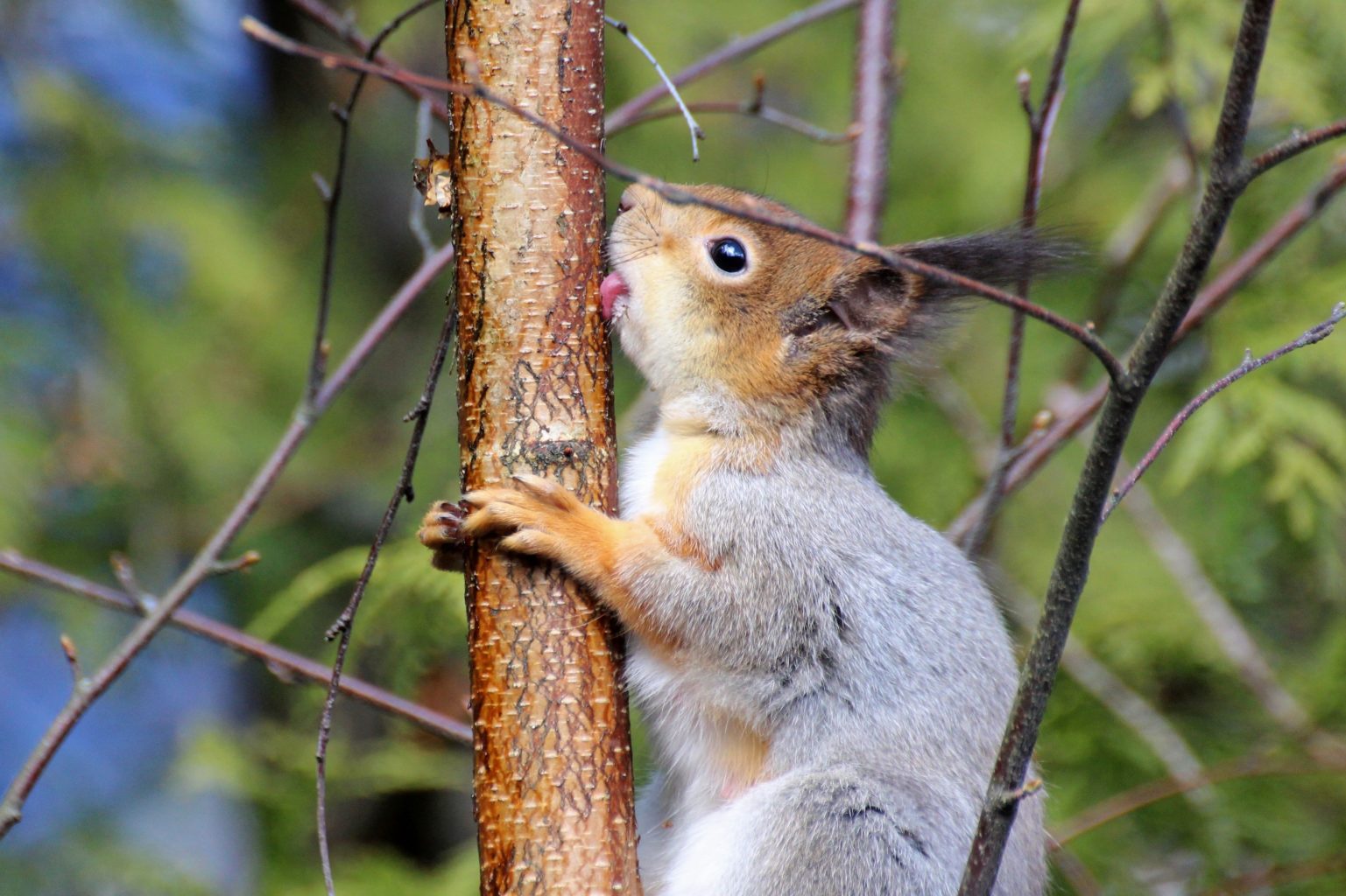Valokuvaaja: Irja Lehtinen