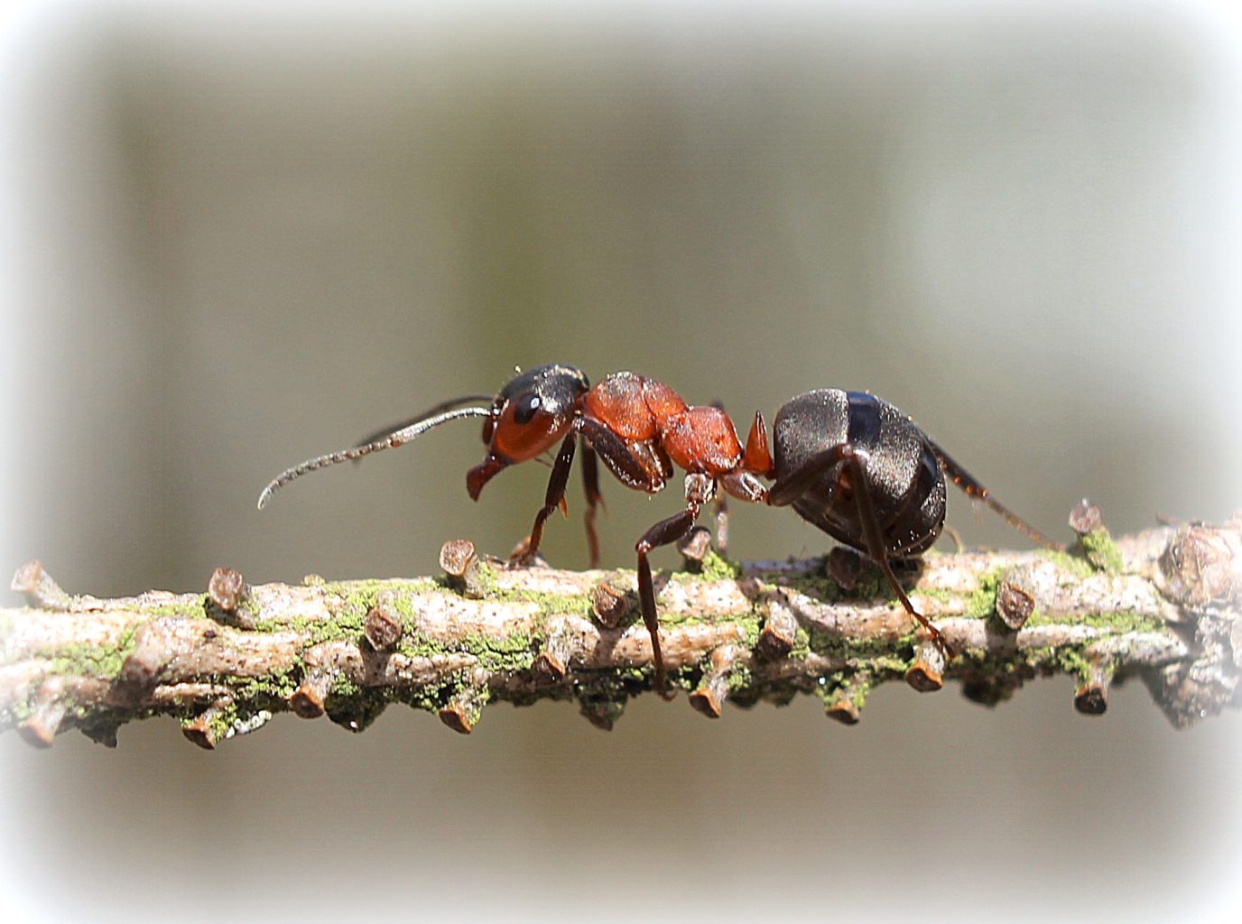 Valokuvaaja: Irja lehtinen