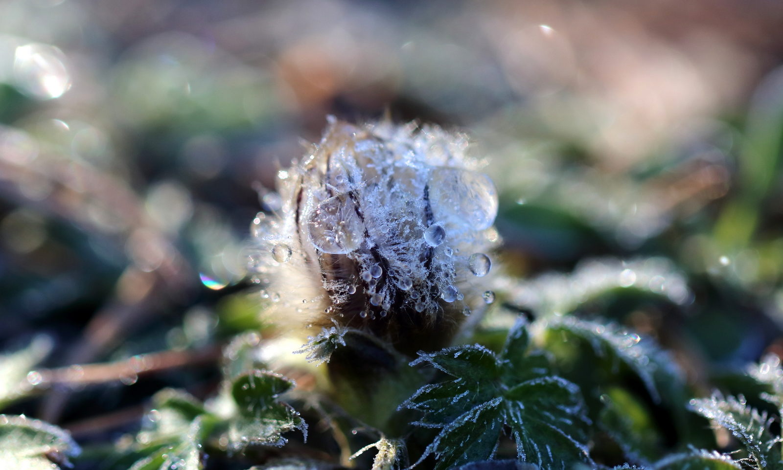 Valokuvaaja: Kirsi Kyllönen Valokuvaaja: Kirsi Kyllönen
