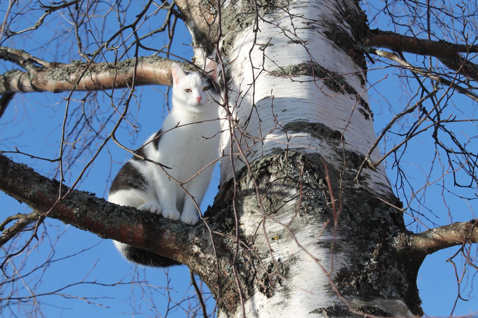 Valokuvaaja: Pirkko Hautamäki