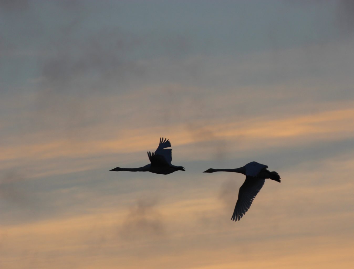 Valokuvaaja: Irja Lehtinen