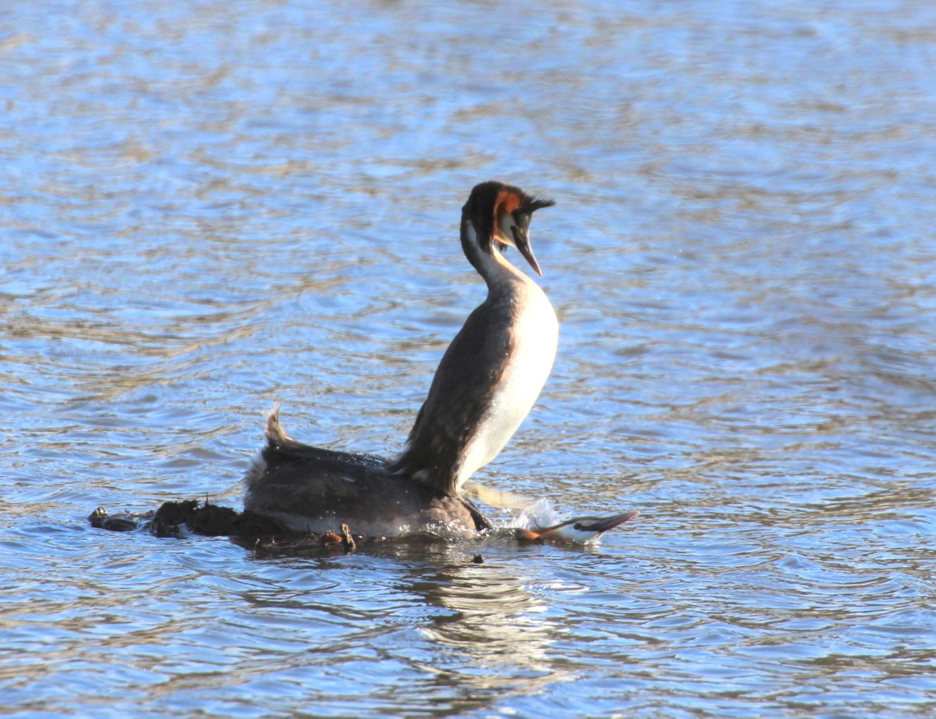 Valokuvaaja: Irja Lehtinen