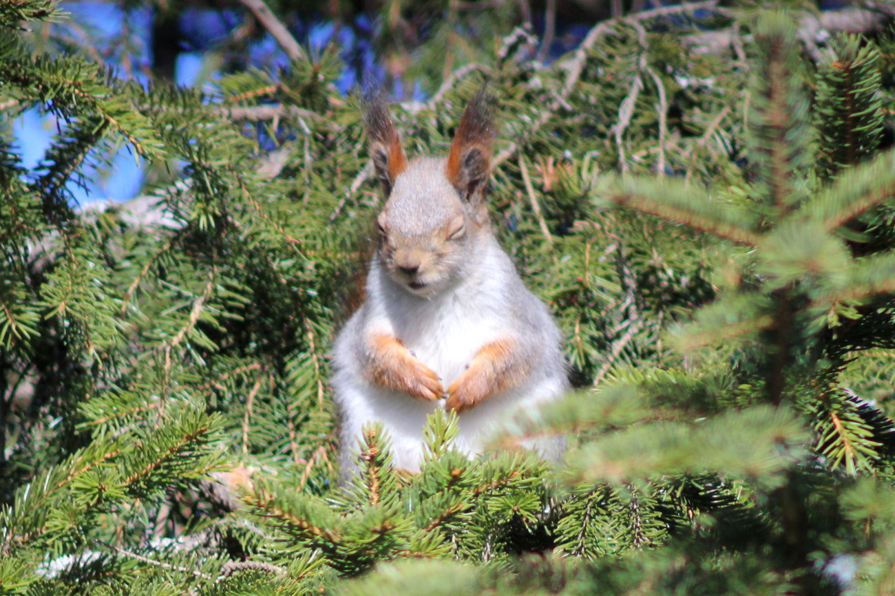 Valokuvaaja: Kalle Asikainen