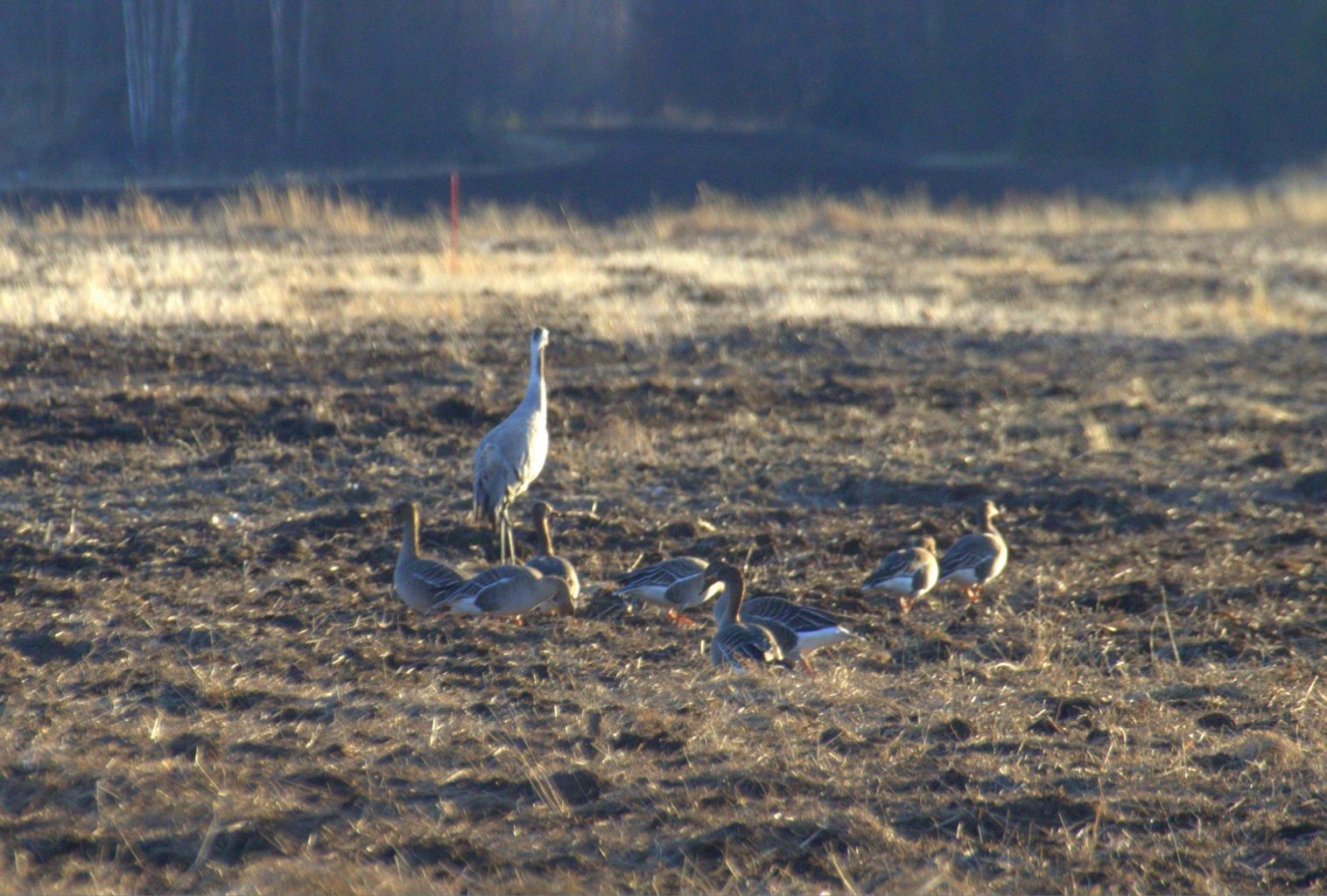 Valokuvaaja: Sirpa Jyske Valokuvaaja: Sirpa Jyske