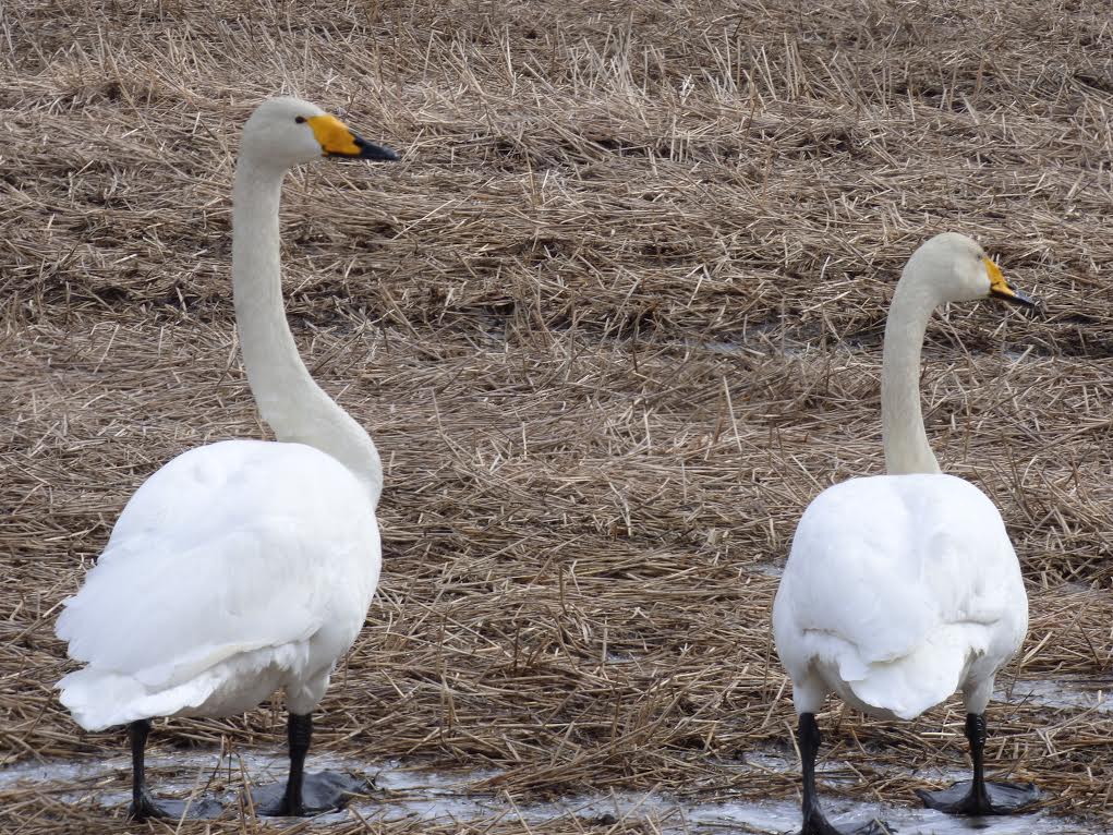 Valokuvaaja: Hannu Rissanen
