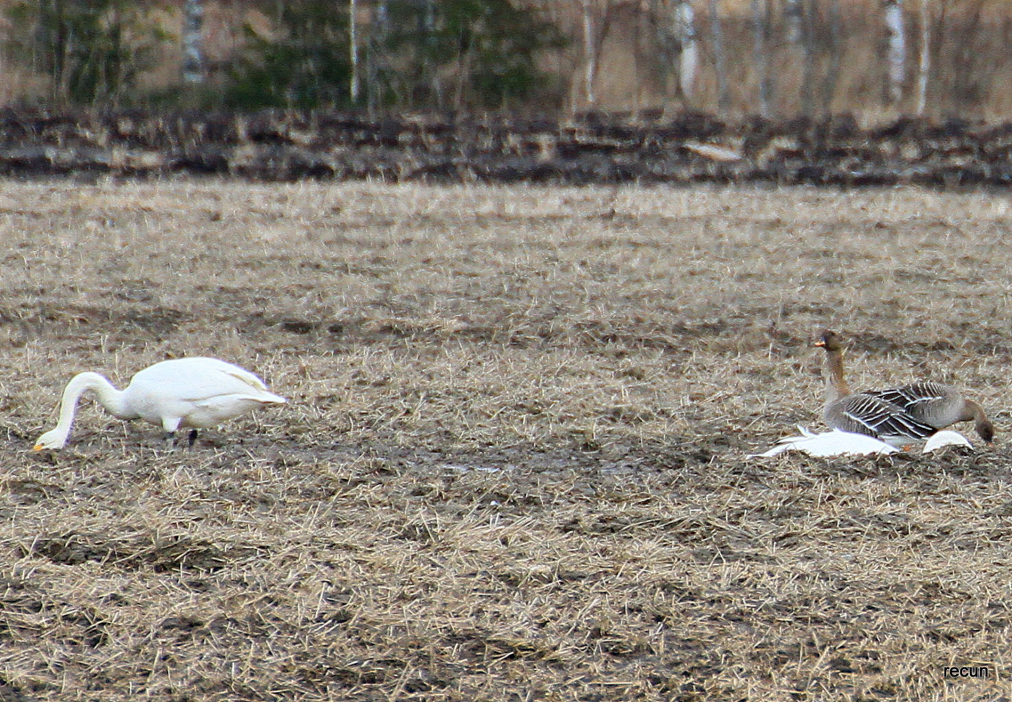 Valokuvaaja: reijo lehtonen