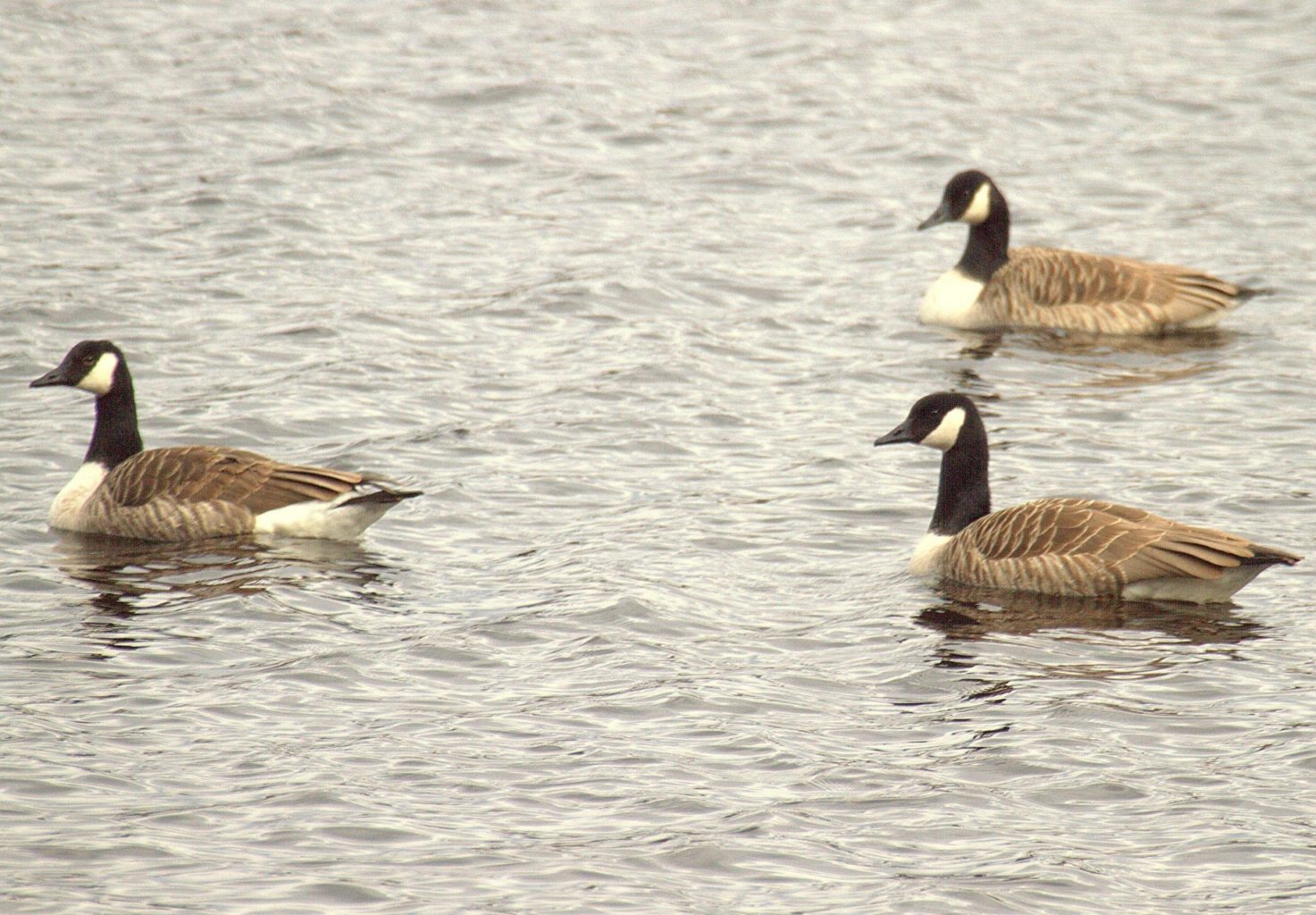 Valokuvaaja: Sirpa Jyske