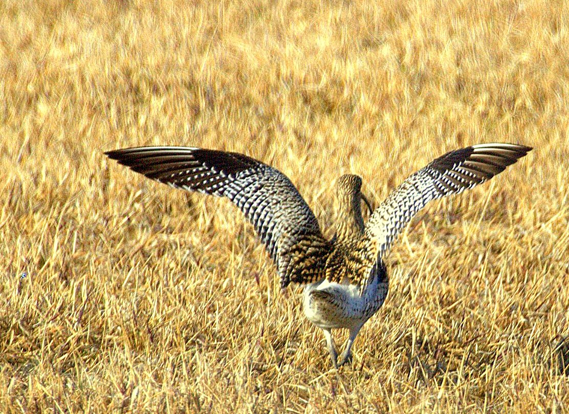 Valokuvaaja: Sirpa Jyske