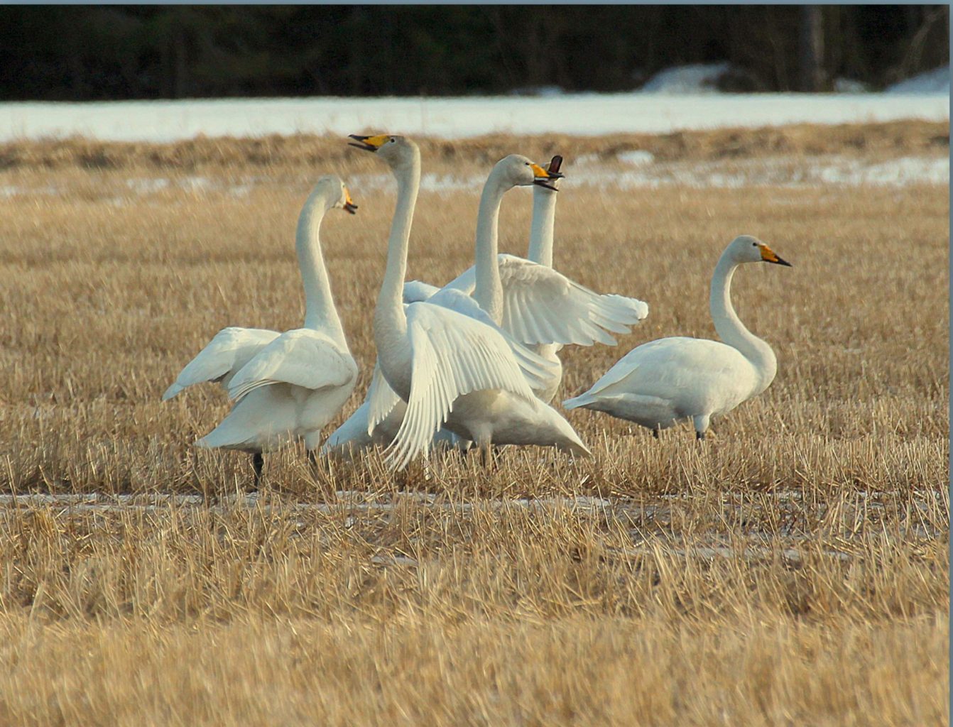 Valokuvaaja: Sirpa Jyske Valokuvaaja: Sirpa Jyske