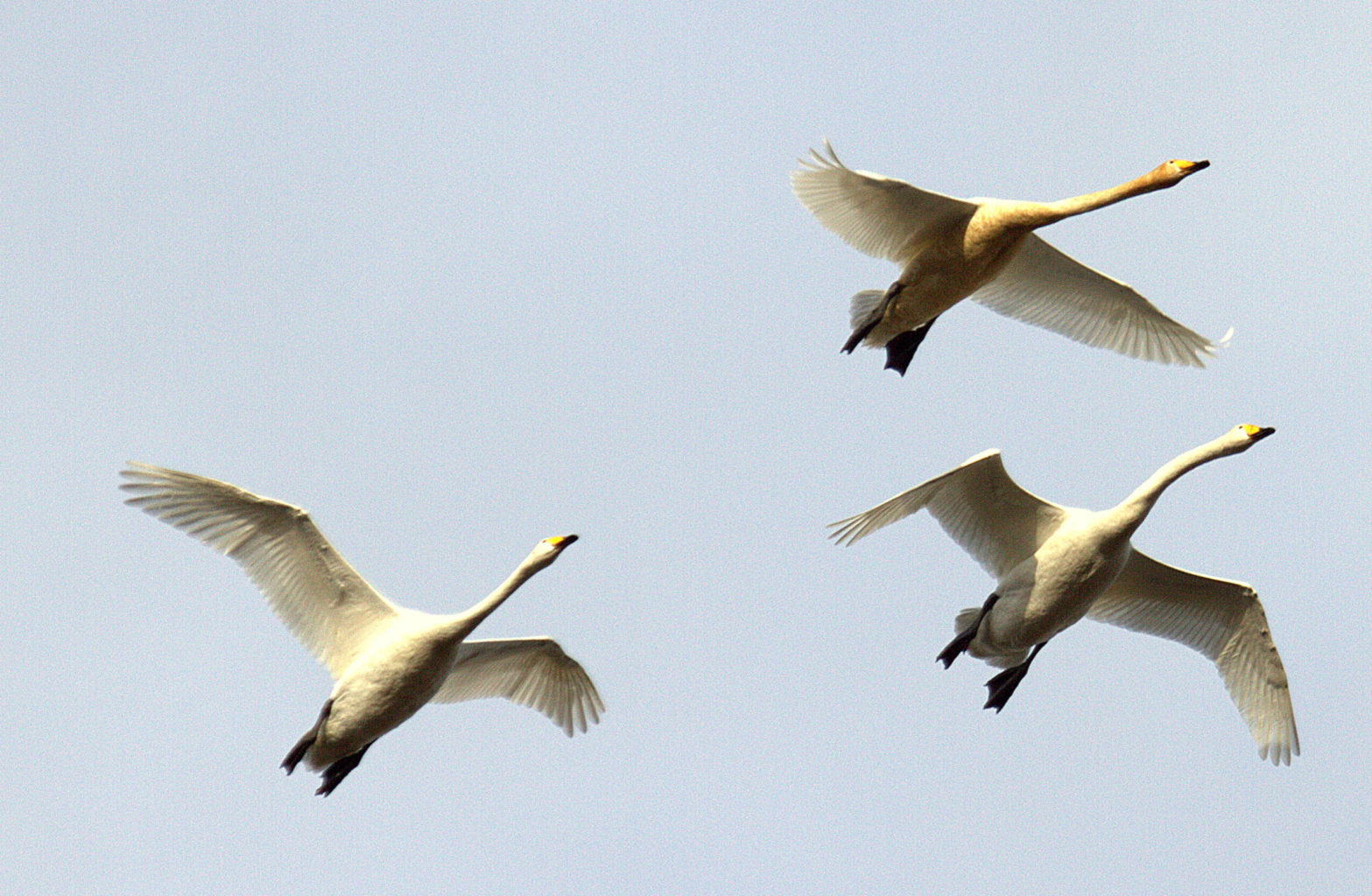 Valokuvaaja: Sirpa Jyske