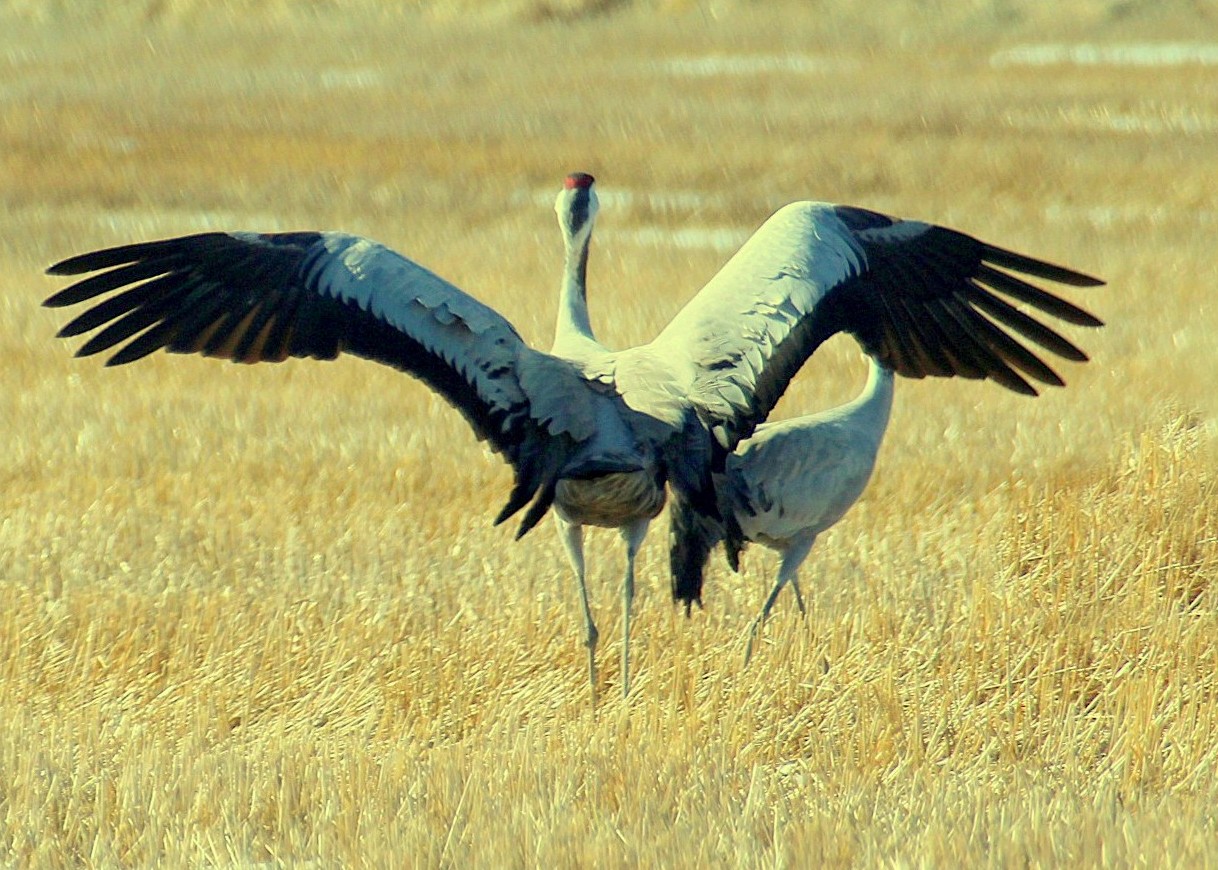 Valokuvaaja: Sirpa Jyske