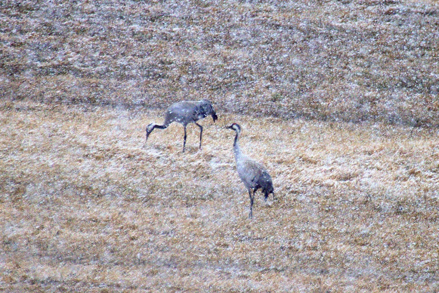 Valokuvaaja: Sirpa Jyske