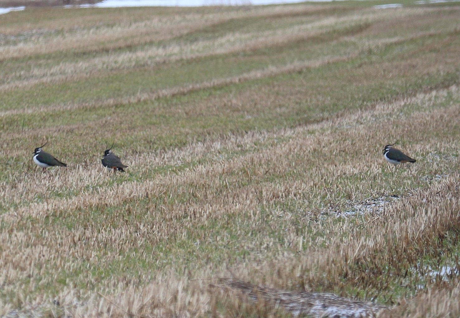 Valokuvaaja: Sirpa Jyske
