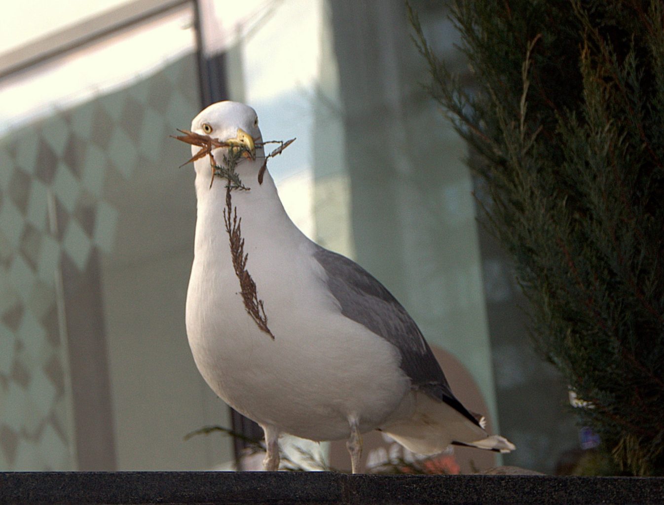 Valokuvaaja: Sirpa Jyske