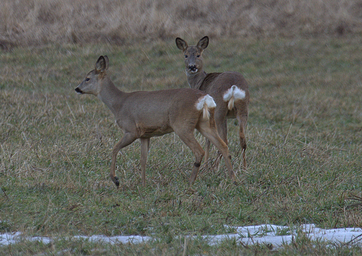 Valokuvaaja: Sirpa Jyske
