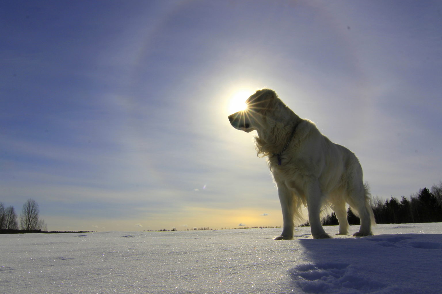 Valokuvaaja: Raija Kokkola Valokuvaaja: Raija Kokkola