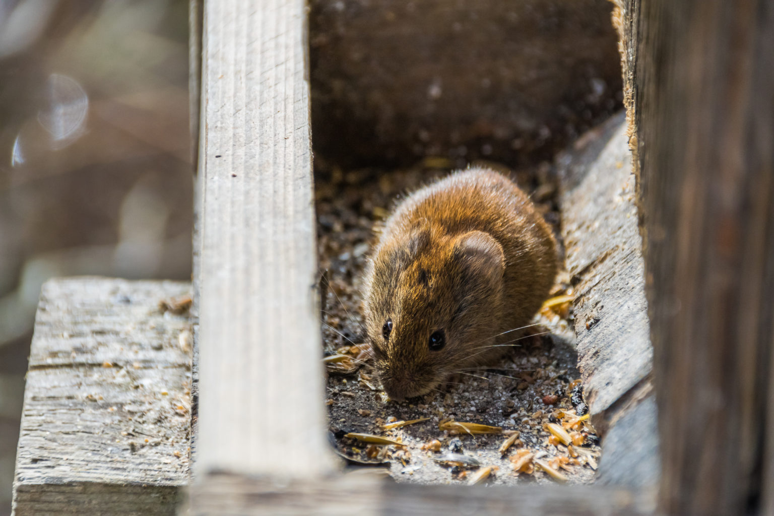 Valokuvaaja: Paul Stevens