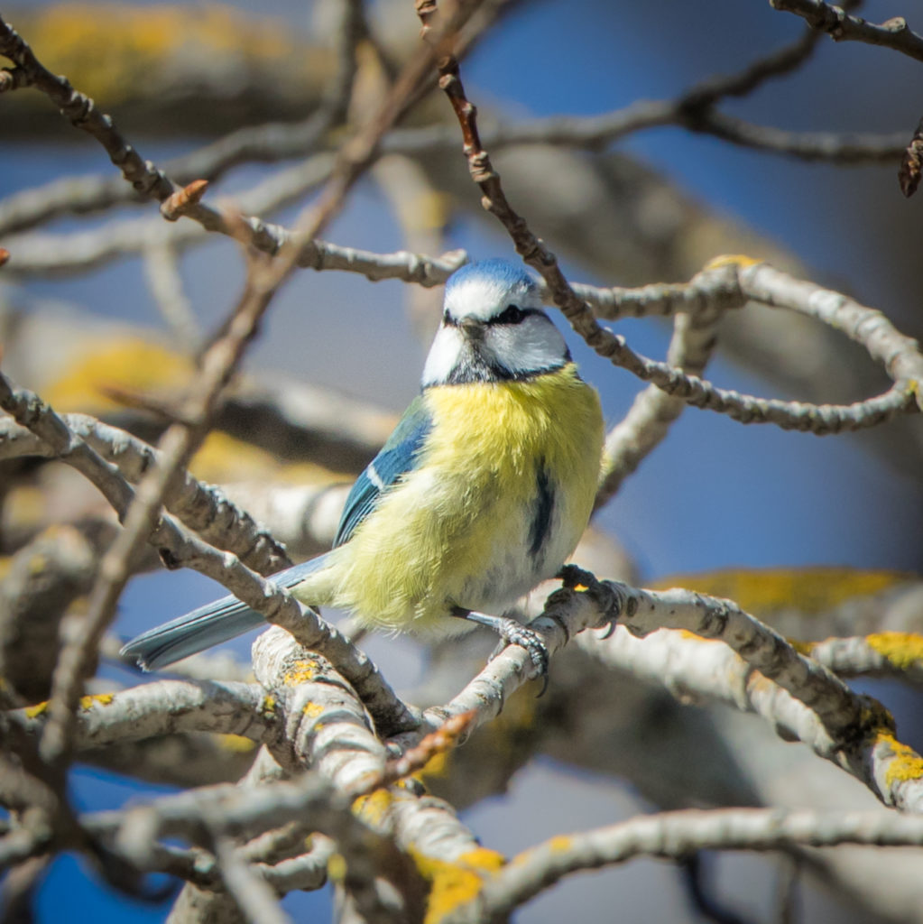 Valokuvaaja: Jukka Risikko