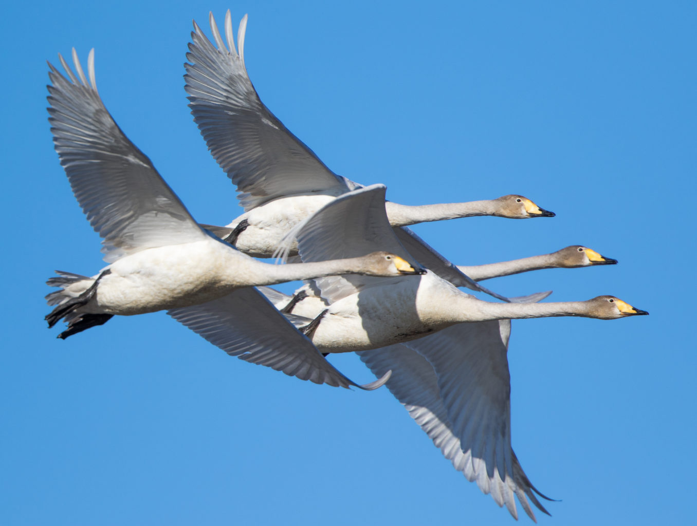 Valokuvaaja: Jukka Risikko