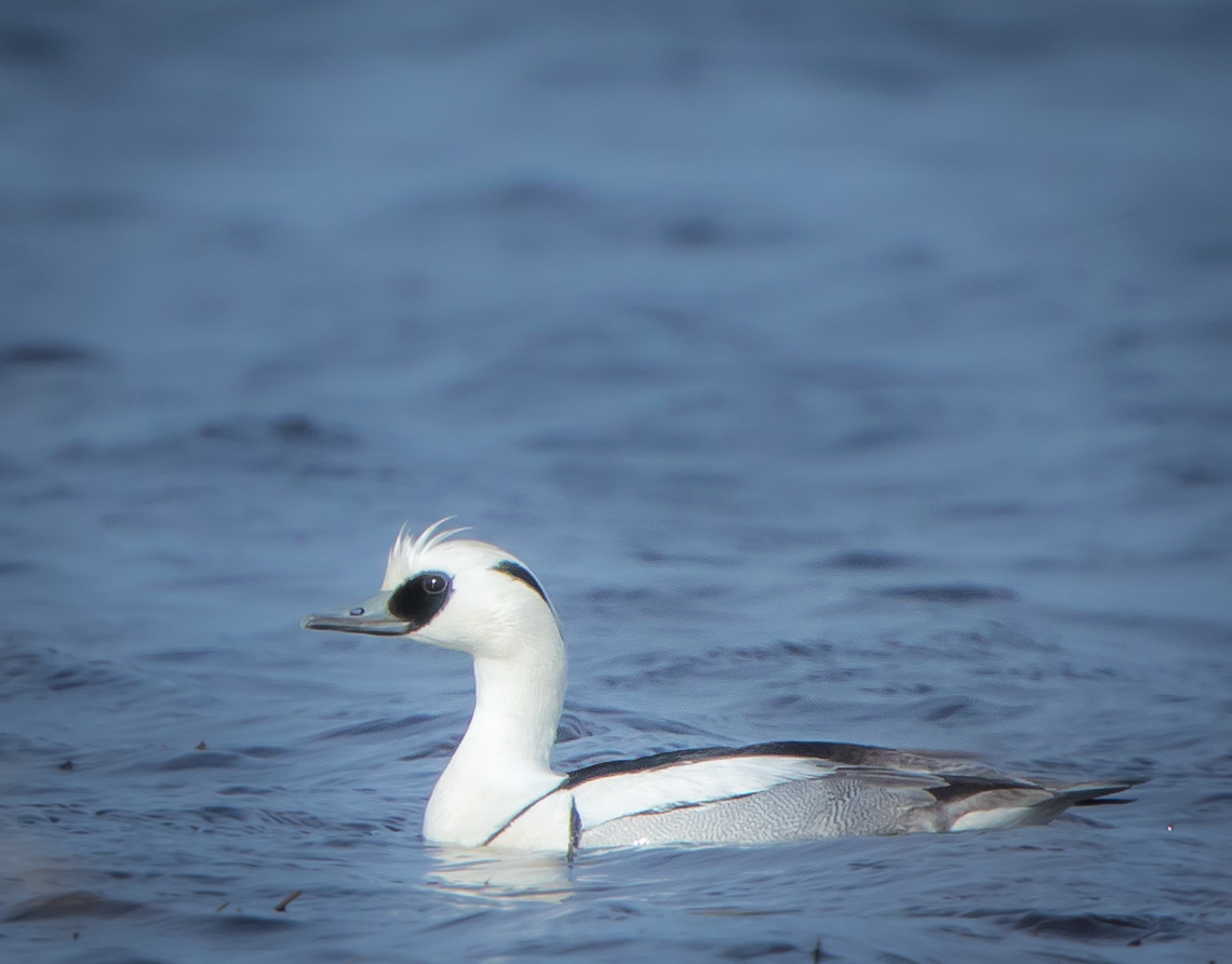 Valokuvaaja: Jukka Risikko