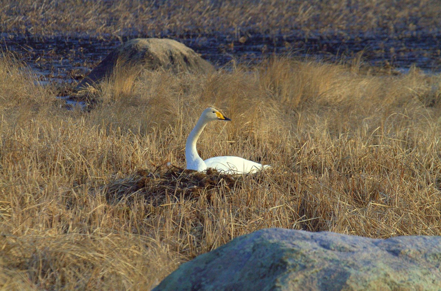 Valokuvaaja: Sirpa Jyske