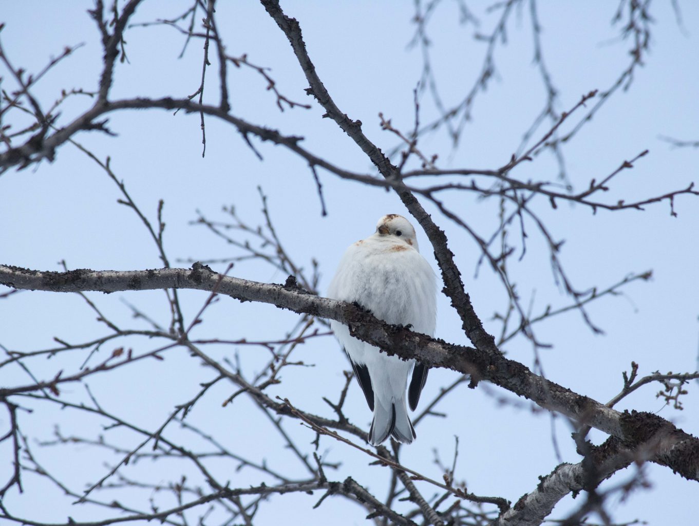 Valokuvaaja: Katri Niskanen