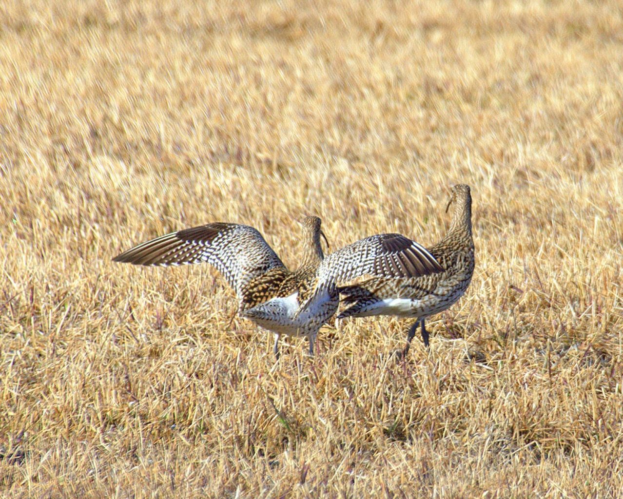 Valokuvaaja: Sirpa Jyske
