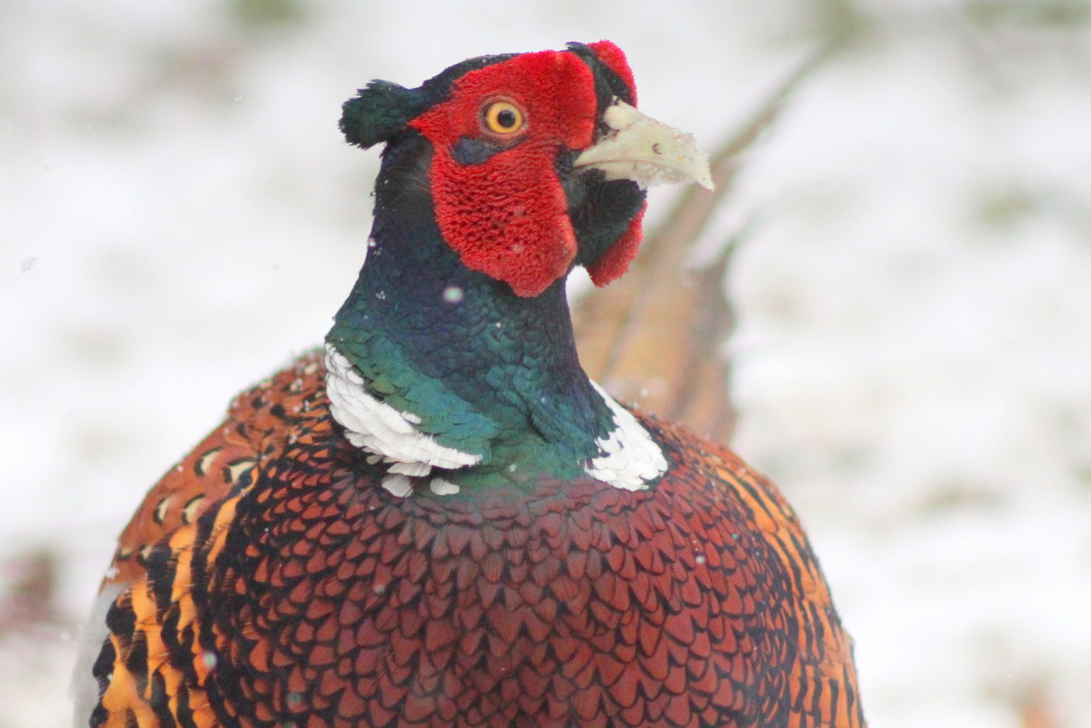 Valokuvaaja: Kalle Asikainen