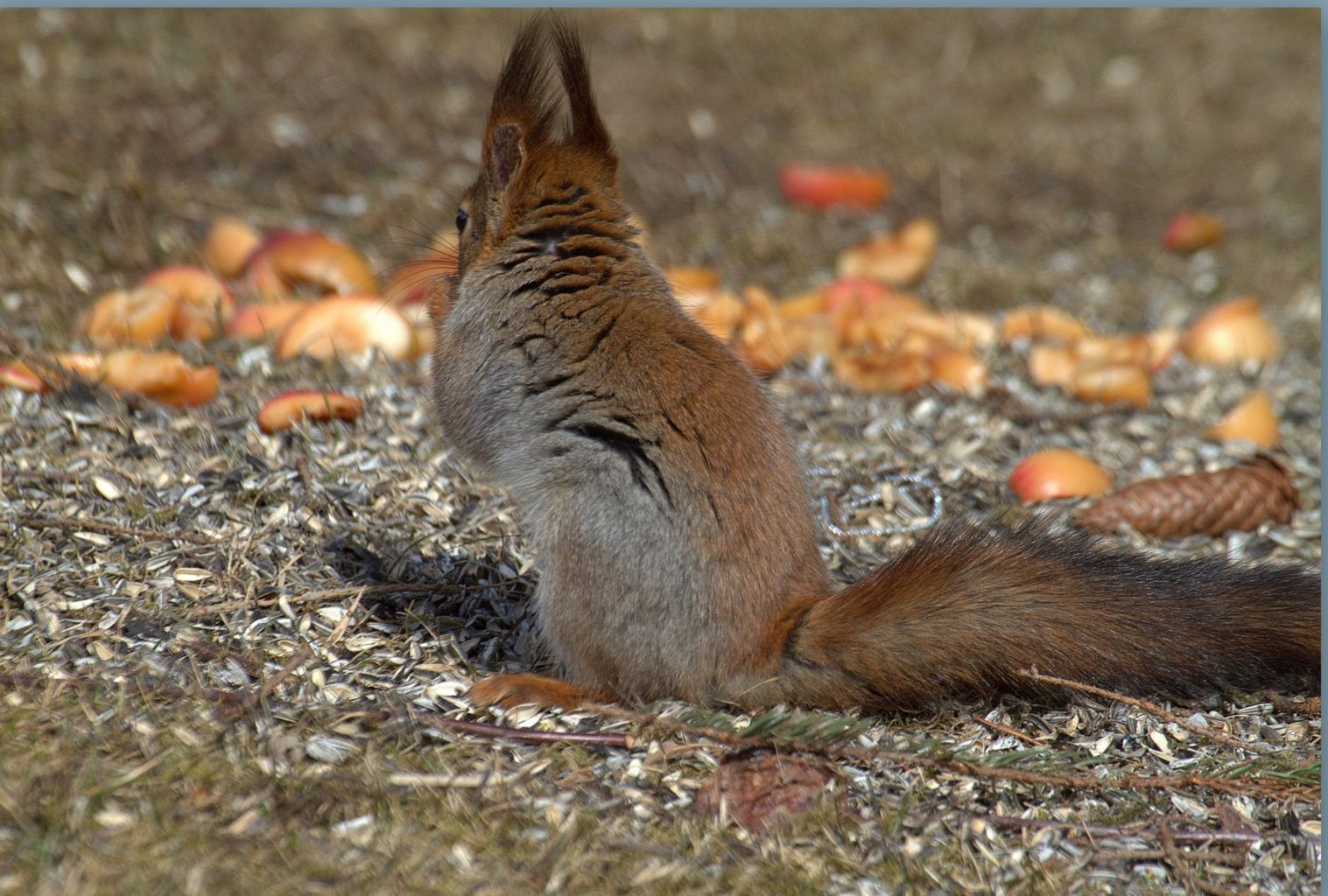Valokuvaaja: Sirpa Jyske