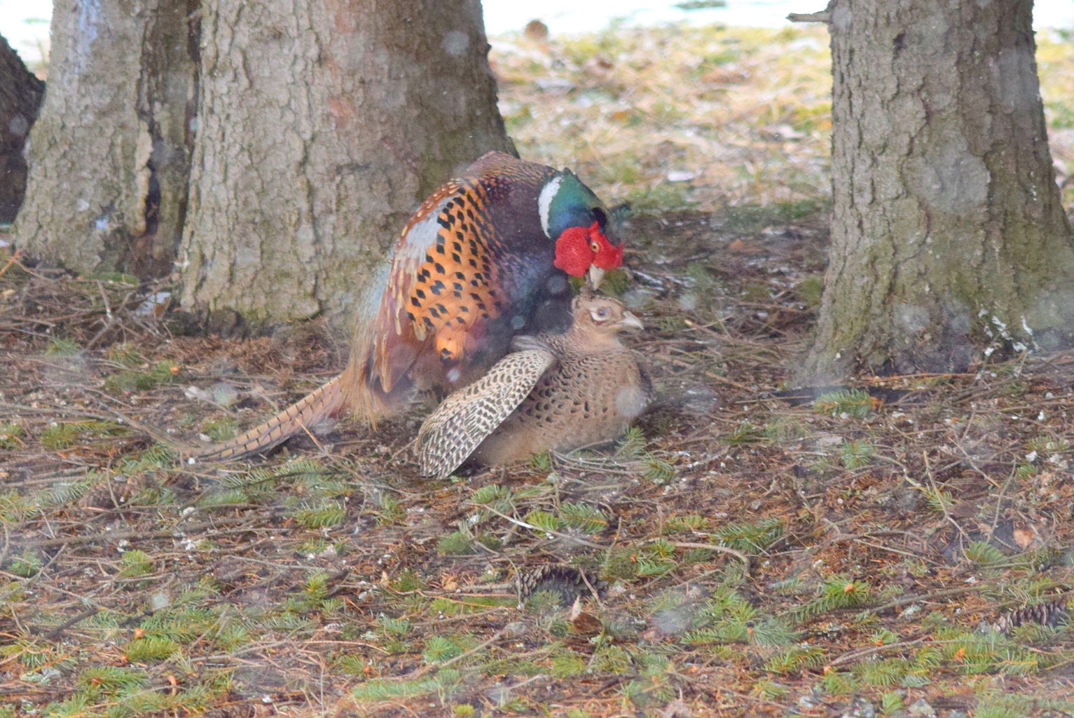 Valokuvaaja: Kalle Asikainen