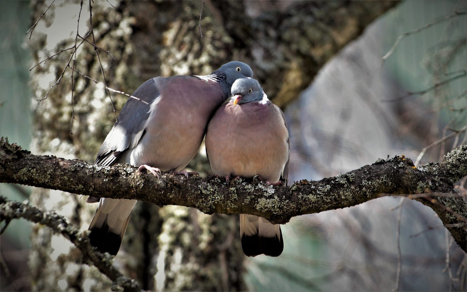 Valokuvaaja: Pirjo Hokkanen