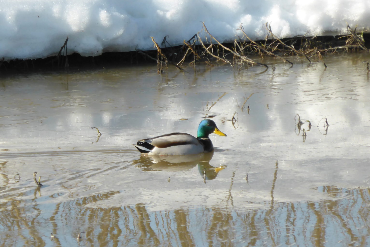 Valokuvaaja: Kalle Asikainen