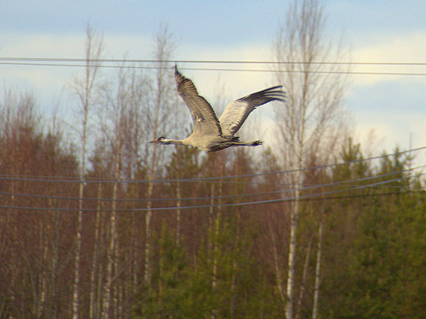 Valokuvaaja: Sirpa Jyske Valokuvaaja: Sirpa Jyske