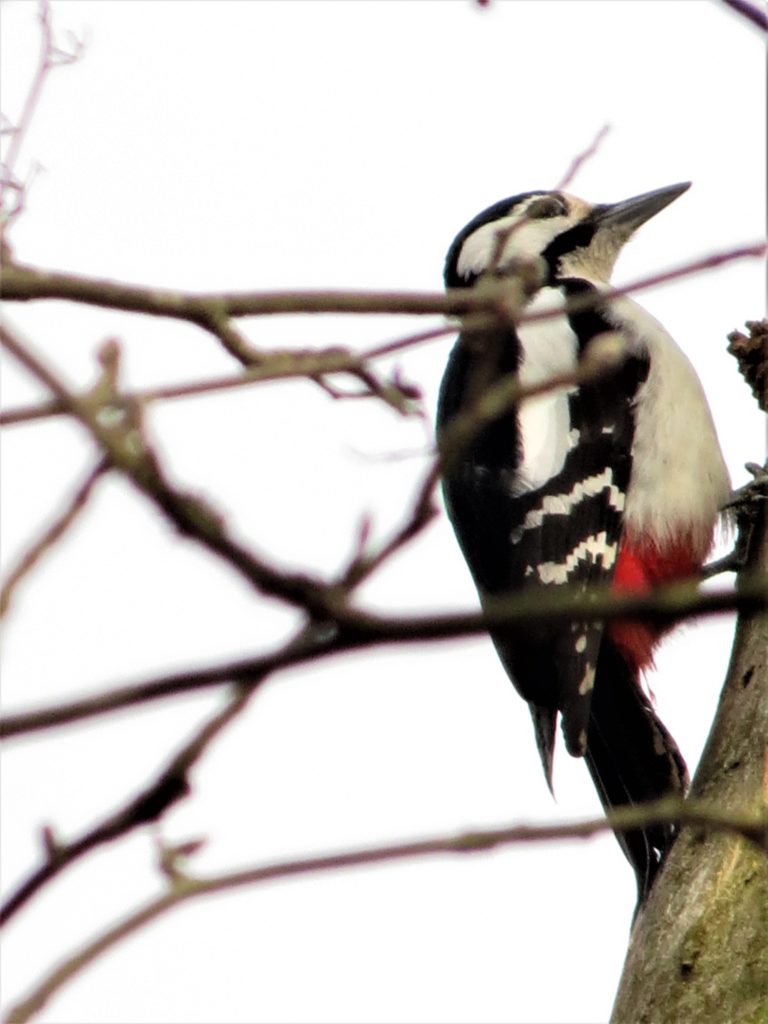 Valokuvaaja: Jukka Rönkä