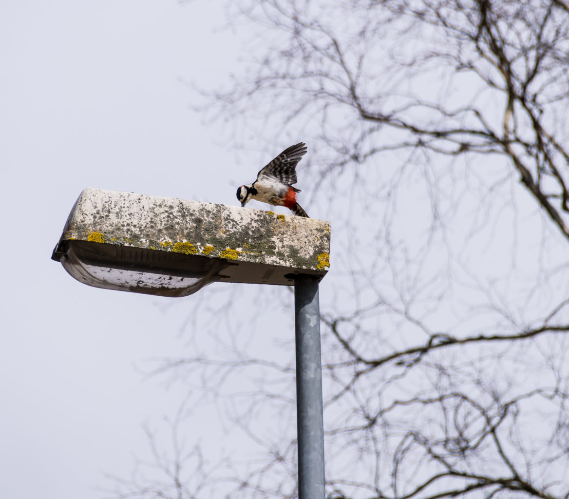 Valokuvaaja: Paul Stevens