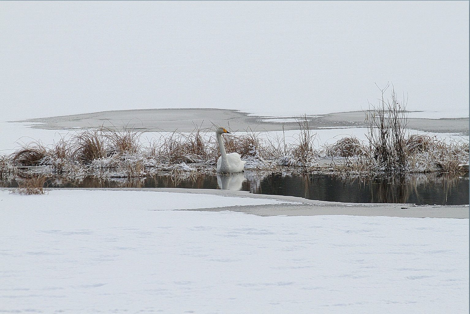 Valokuvaaja: Sirpa Jyske
