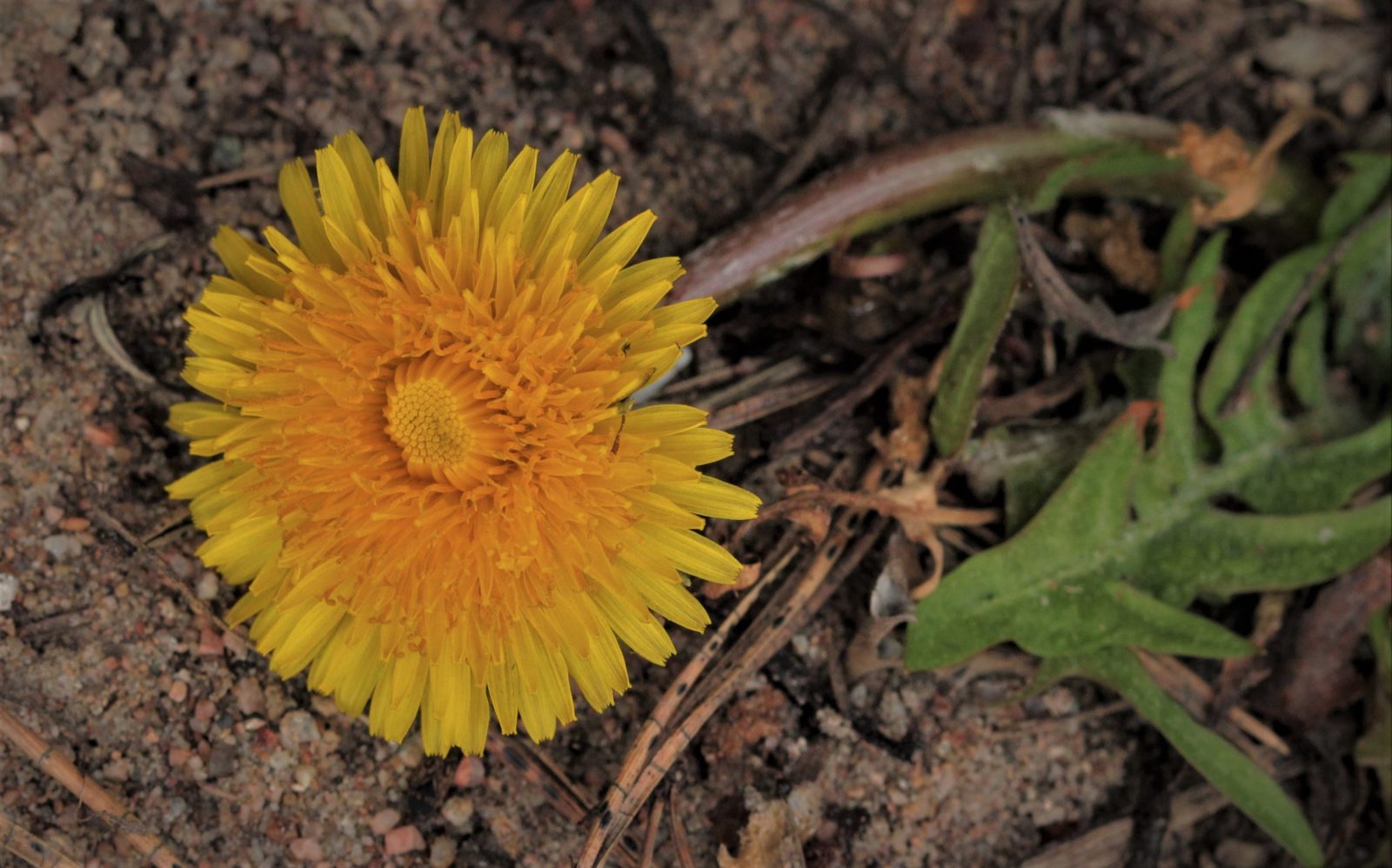 Valokuvaaja: Pirjo Hokkanen
